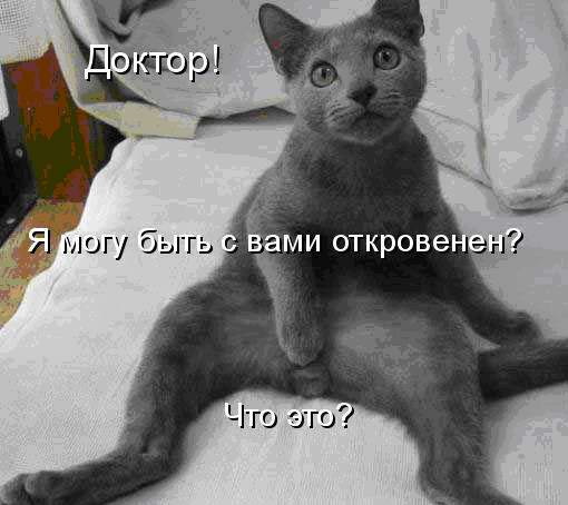 Что это такое?