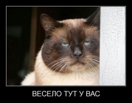 эт точно